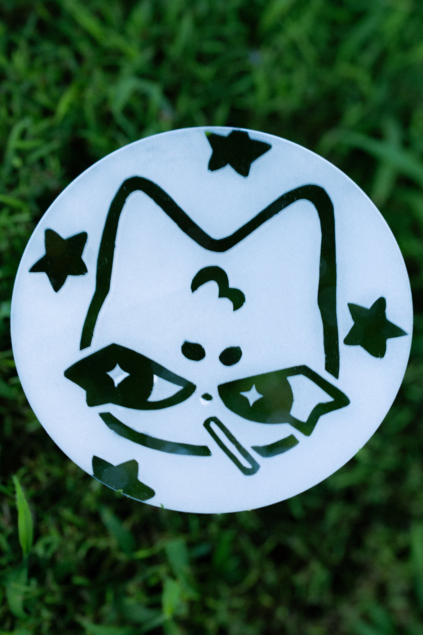 Bad kitty frosted mirror