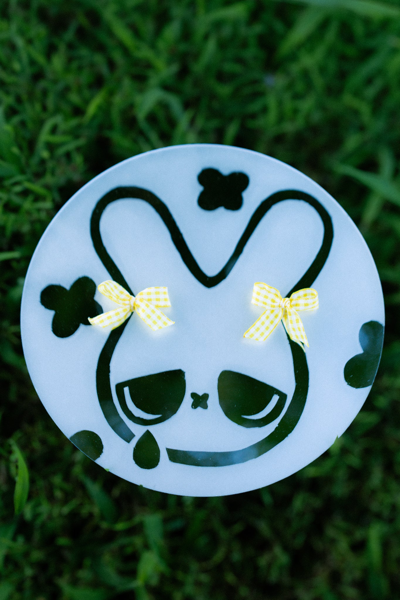 Cry bunny frosted mirror