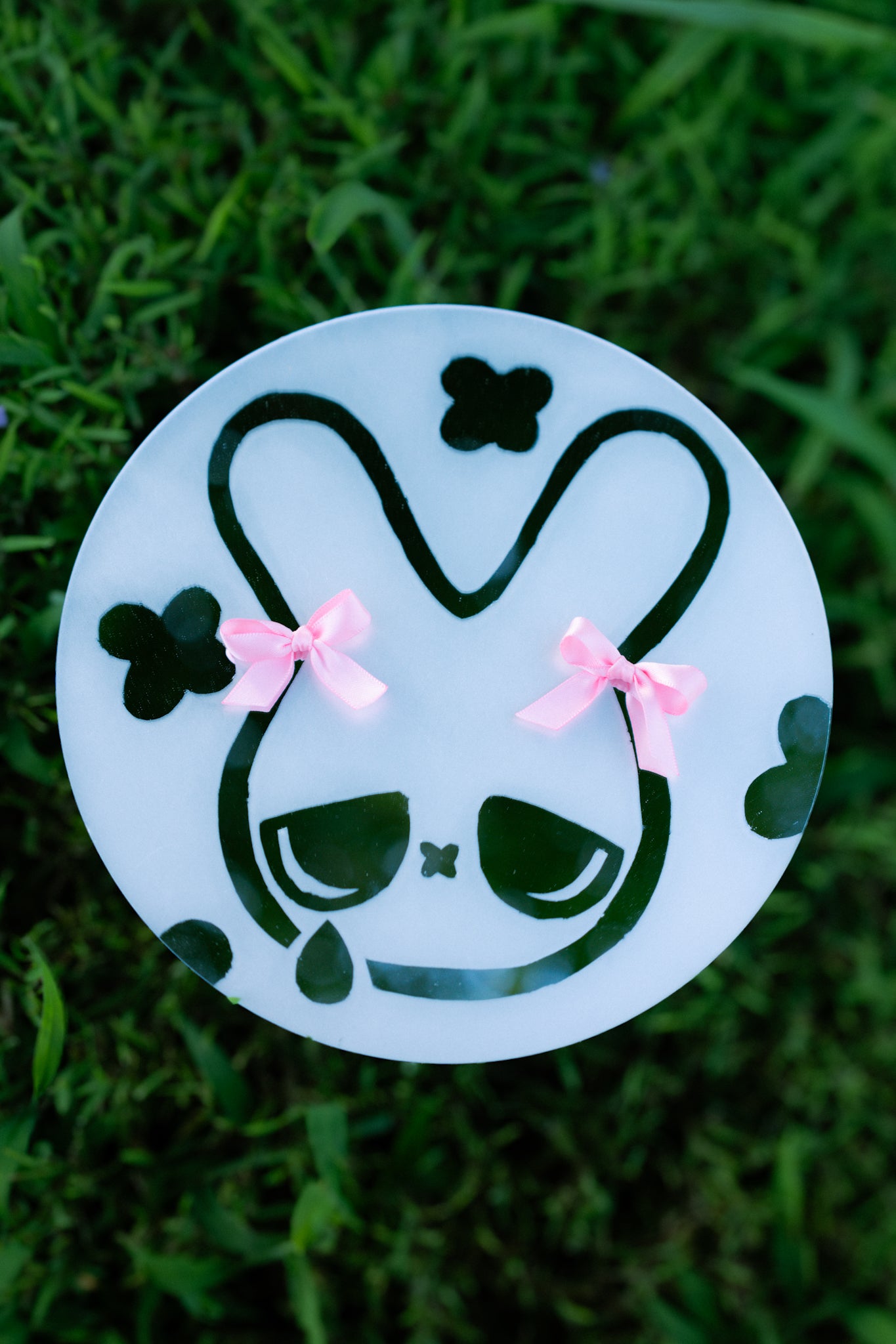 Cry bunny frosted mirror